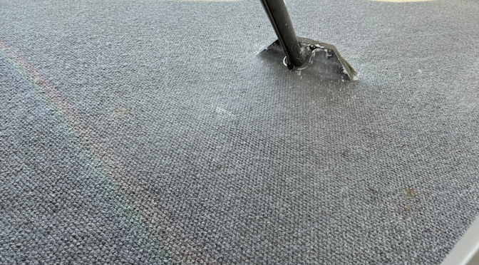 carpet cleaning