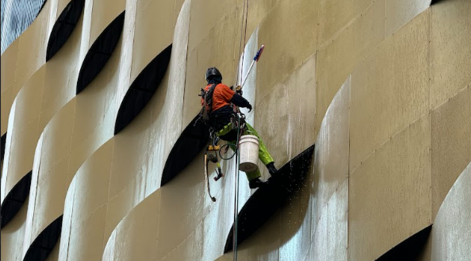 Professional abseiling services